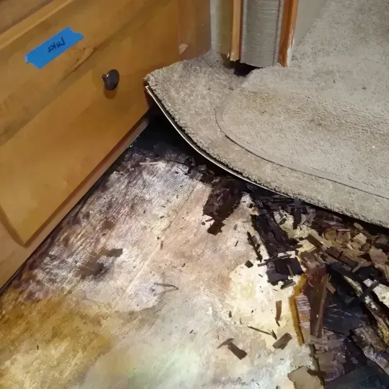 Best Wood Floor Water Damage Service in Summit, IL